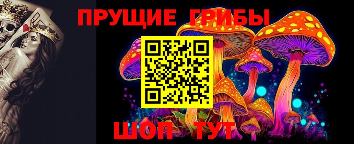 Псилоцибиновые грибы GOLDEN TEACHER Выкса